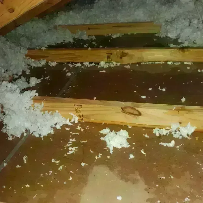 Attic Water Damage in Nellieburg, MS